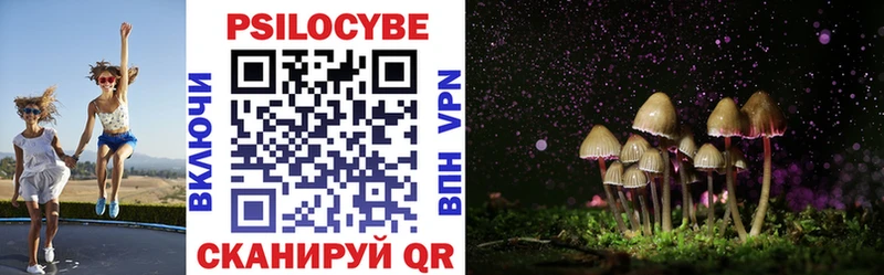 Псилоцибиновые грибы Magic Shrooms  купить наркотик  Покровск 